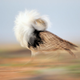 Illustration for article titled These Are the Most Spectacular Nature Photos of the Year